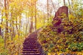 Stone steps strewn with yellow autumn leaves Royalty Free Stock Photo