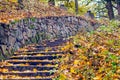 Stone steps strewn with yellow autumn leaves Royalty Free Stock Photo