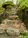 Stone steps to the wild forest
