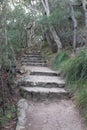 Stone Steps on the Tomaree Mountain Walking Track Royalty Free Stock Photo