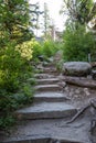 Stone Steps on Trail Around Sylvan Lake