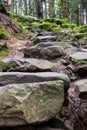 Stone steps on the trail in the woods