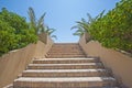 Stone steps in a tropical garden Royalty Free Stock Photo