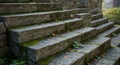 Stone steps with a weathered appearance feature moss and small plants growing Royalty Free Stock Photo