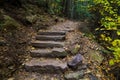 Stone Steps in the woods in autumn