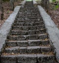 Stone steps in the woods on the monastery grounds Royalty Free Stock Photo