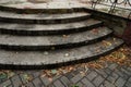 stone steps and yellow leaves. Autumn theme Autumn theme Royalty Free Stock Photo