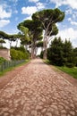 Stone street leading to trees in Palatine Hill at Rome