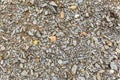 Stone surface, pebbles, small pellets