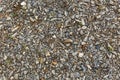 Stone surface, pebbles, small pellets Royalty Free Stock Photo