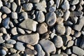 Stone surface. River stones detail