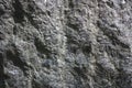 Stone surface texture