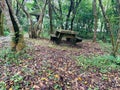 Stone tables and chairs on the forest trail on Daluntou Mountain in Neihu, Taipei