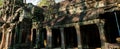 Stone temple Ta Prohm Angkor Wat Royalty Free Stock Photo