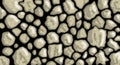 Stone texture