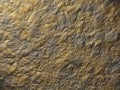 Stone Texture Royalty Free Stock Photo