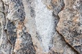 Stone texture Royalty Free Stock Photo