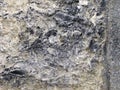Stone texture background Royalty Free Stock Photo
