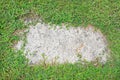 Stone texture background covered with green grass around. Concrete pattern with copy space at center Royalty Free Stock Photo