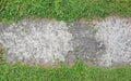 Stone texture background covered with green grass around. Concrete pattern with copy space at center Royalty Free Stock Photo