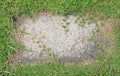 Stone texture background covered with green grass around. Concrete pattern with copy space at center Royalty Free Stock Photo