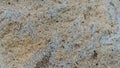 Stone texture background. Pieniny andesite Royalty Free Stock Photo