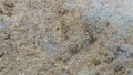 Stone texture background. Pieniny andesite Royalty Free Stock Photo