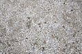 Stone texture. Background texture of small white stones on beach Royalty Free Stock Photo