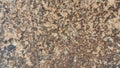 Stone Texture Background Volhynian Basalt Royalty Free Stock Photo