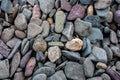 Stone Texture From the Beach at Two Medicine Royalty Free Stock Photo