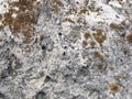 Stone texture. Detailed surface of the old light stone with red lichens. Royalty Free Stock Photo