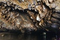 Stone texture inside cave and rowing woman row a boat with tourist at Trang An Grottoes in Ninh Binh, Vietnam