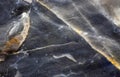 Stone texture macro background. Geology, nature pattern Royalty Free Stock Photo