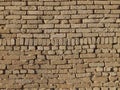 Stone texture on the Red Sea of Egypt Royalty Free Stock Photo