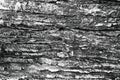 Stone texture rock Royalty Free Stock Photo