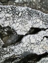 Stone texture on rock near seashore