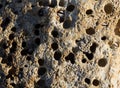 Stone texture. Sea stone in a hole. Stone on the shore