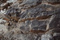 Stone texture from waves erode, nature background. Top view. Copy space. Can use as banner