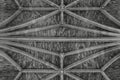 Stone textured background of the ceiling of the gothic Cathedral of Saint-andrÃÂ©, Bordeaux