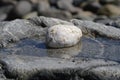 Stone in a tidal pool Royalty Free Stock Photo