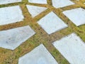 Stone tile on dried grass floor Royalty Free Stock Photo