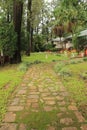 Stone tile lined path in garden