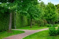 Stone tile walkway curve arcing in the park among green plants of evergreen thuja hedges. Royalty Free Stock Photo