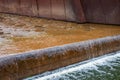 Stone Tile Water Feature Garden in the Royal Botanic Gardens Victoria Royalty Free Stock Photo