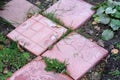 Stone tiles like paths in the garden Royalty Free Stock Photo