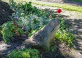 The stone toad sits in the garden among flowers and other plants.