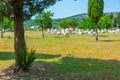 Stone tombs at Radimlja necropolis in Bosnia and Herzegovina