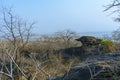 Stone Tortoise - Bhimbetka rock shelters