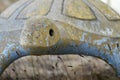 Stone tortoise face Royalty Free Stock Photo