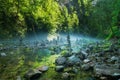 Stone towers in Vintgar gorge and Radovna river near Bled in Slovenia